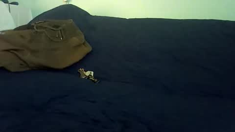 Mr. Red online show from February 2026 10:19:02 PM