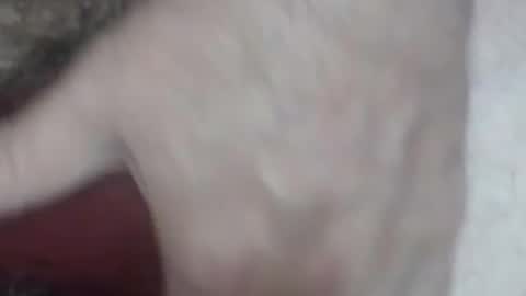 rokk_dude online show from October 2025 02:28:01 AM