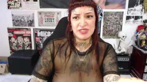 Snapshot of rollyderolandia666 chatting on April 2026 08:55:02 PM Rolly online show from April 2026 08:55:02 PM