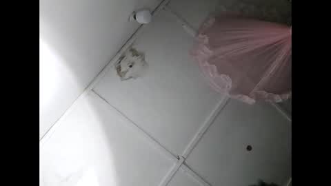 Snapshot of romy_cobel chatting on November 2025 05:23:01 PM Romy Cobel online show from November 2025 05:23:01 PM