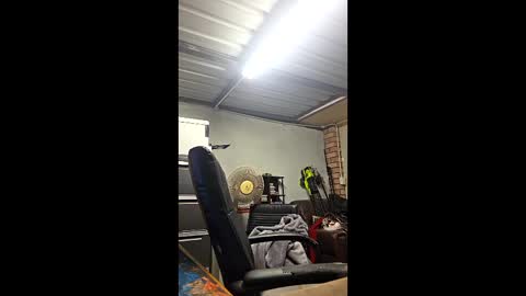 ronabater online show from January 2026 09:03:02 AM