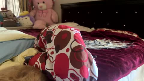 Snapshot of rose69904260 chatting on July 2026 07:13:02 PM Rose and Jacks Pay Room online show from July 2026 07:13:02 PM