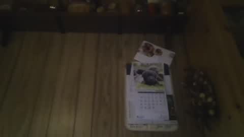 roses2u1958 online show from January 2025 08:04:02 PM