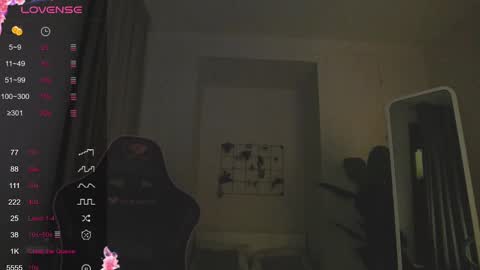 Snapshot of rouse_macgooune chatting on March 2025 09:37:01 PM Rouse online show from March 2025 09:37:01 PM