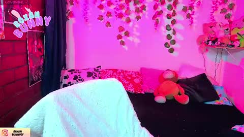 roxxy online show from July 2026 03:44:01 AM