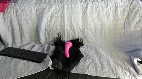 roxaneramirez online show from May 2026 06:08:01 AM