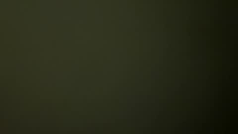 Snapshot of rsxxx130 chatting on February 2025 02:33:02 AM ireneTxCD online show from February 2025 02:33:02 AM