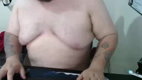 Bear online show from March 2026 04:51:02 AM