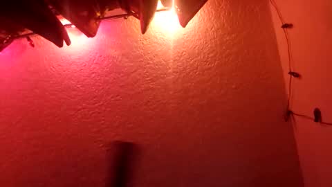 Snapshot of rudy11448 chatting on October 2025 07:42:02 AM rudy11448 online show from October 2025 07:42:02 AM