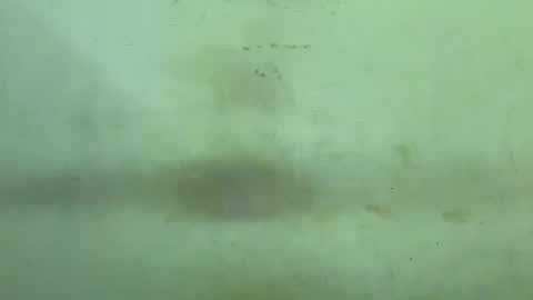 Rupali online show from December 2025 04:47:01 PM