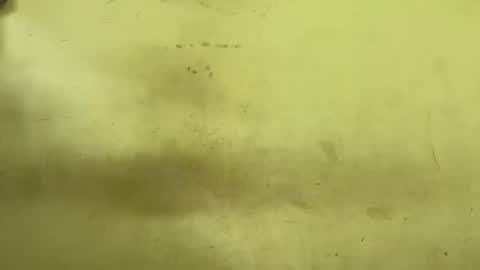 Rupali online show from March 2026 03:50:01 PM