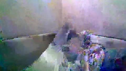 Snapshot of rusqadisx chatting on July 2026 06:35:02 PM rusqadisx online show from July 2026 06:35:02 PM