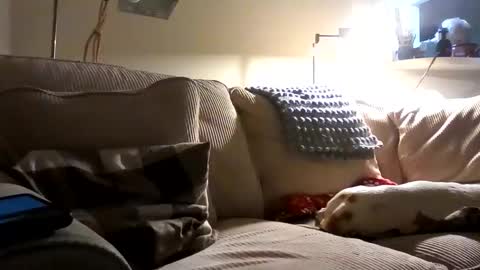 Rusty online show from October 2025 01:34:01 AM