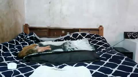 ruu_prettygal online show from April 2026 08:01:02 AM