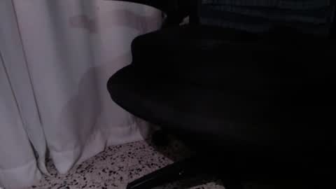 rx7900xtx online show from December 2025 03:27:02 AM