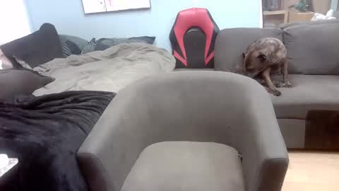 Ryan Tee online show from November 2025 10:50:02 AM