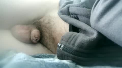 arte online show from September 2025 08:49:01 AM