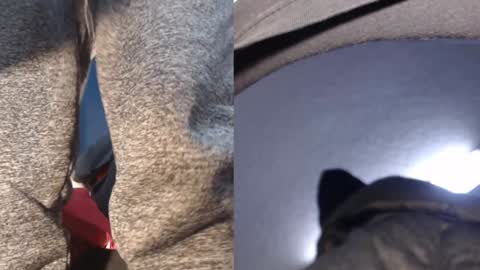 Ryushi009 online show from January 2025 05:38:01 AM