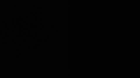 Ryushi009 online show from January 2025 08:41:01 AM