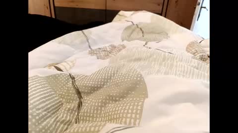 s_xp__ online show from December 2025 11:28:02 AM