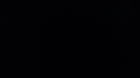 samanta online show from December 2024 07:29:02 AM