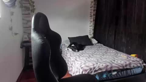 Danny online show from November 2025 02:19:01 PM