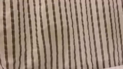 Dee online show from October 2025 01:13:01 PM