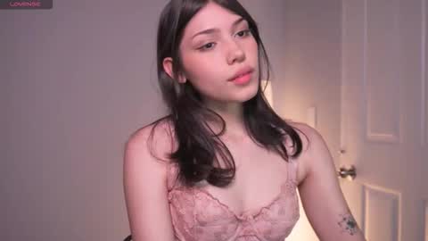 Snapshot of sadelune chatting on February 2026 03:27:01 AM An online show from February 2026 03:27:01 AM