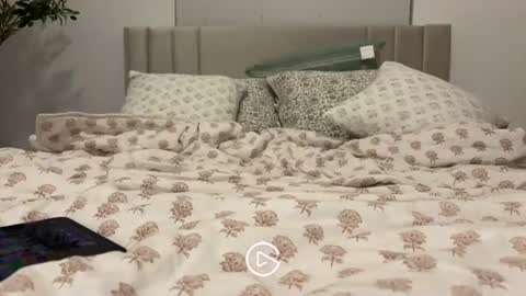 Snapshot of sagehaven chatting on December 2024 06:26:01 AM Sage online show from December 2024 06:26:01 AM