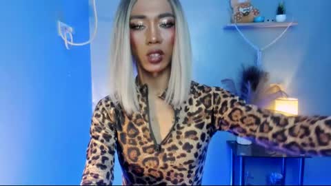 sahayafox online show from April 2026 05:55:01 AM