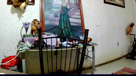 ruby  chocoholic cakeholic coffeeholic cookieholic online show from October 2025 09:11:01 PM