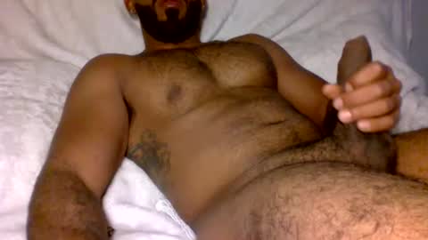 SD17 online show from January 2025 02:35:01 PM