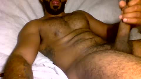 SD17 online show from January 2025 01:11:02 AM