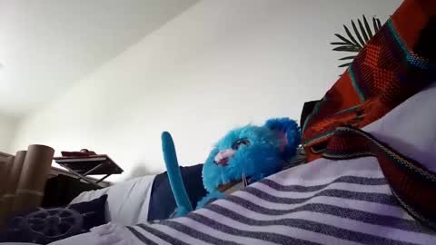 Snapshot of salis1981 chatting on January 2025 10:28:02 PM salis1981 online show from January 2025 10:28:02 PM