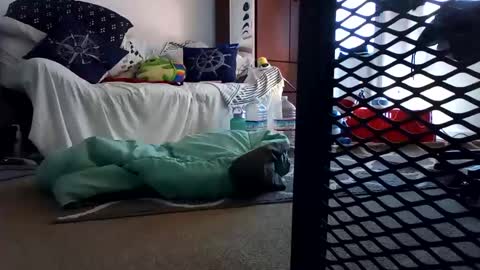 Snapshot of salis1981 chatting on February 2025 12:31:02 AM salis1981 online show from February 2025 12:31:02 AM