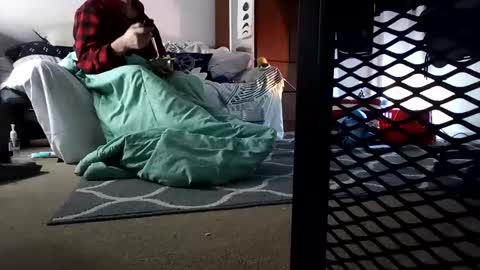 Snapshot of salis1981 chatting on February 2025 03:34:02 AM salis1981 online show from February 2025 03:34:02 AM