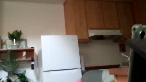 Snapshot of salis1981 chatting on October 2025 09:15:01 PM salis1981 online show from October 2025 09:15:01 PM