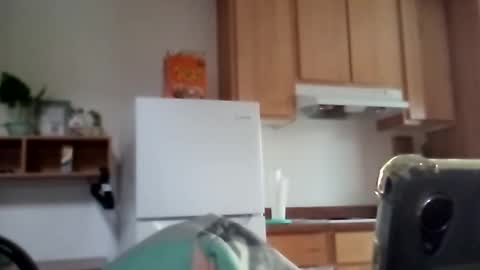 salis1981 online show from December 2025 11:55:02 PM