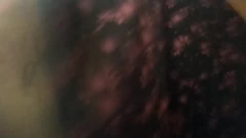 salmonman1305 online show from January 2025 11:49:01 AM