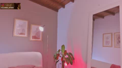 Snapshot of salo____ chatting on July 2026 04:13:01 PM Salo online show from July 2026 04:13:01 PM