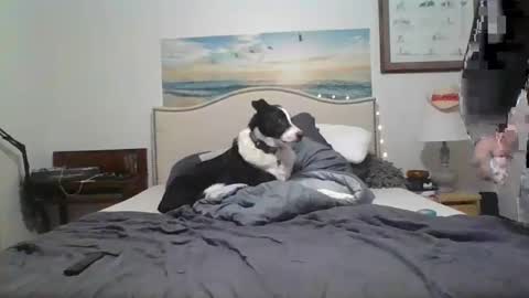 Snapshot of salsbud2022 chatting on February 2025 02:53:01 AM salsbud2022 online show from February 2025 02:53:01 AM