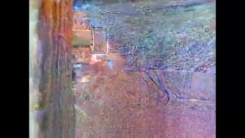 sam5554401727 online show from April 2026 08:28:02 PM