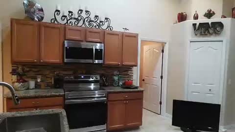 sam_papithebarber online show from November 2025 04:24:02 AM