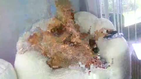 Samatha James online show from March 2026 07:03:02 PM