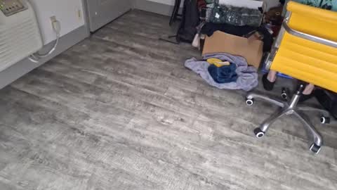 Snapshot of samboiamtho chatting on January 2025 12:43:02 AM samboiamtho online show from January 2025 12:43:02 AM