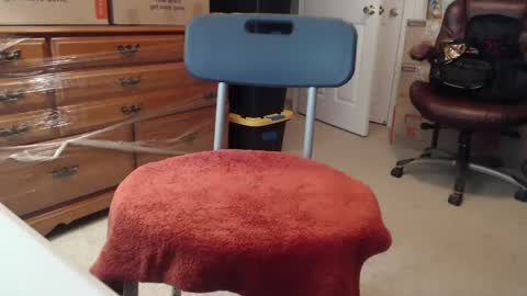 Sammy online show from September 2025 10:33:02 PM