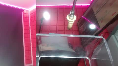 Snapshot of sammyevanss__ chatting on February 2026 10:33:02 AM SAMMY online show from February 2026 10:33:02 AM