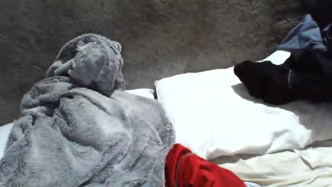 samuel987017 online show from December 2024 06:08:02 AM