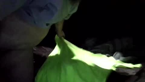 sandj133117 online show from February 2025 02:07:01 AM