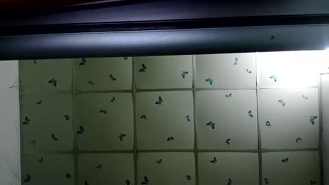 Snapshot of santichai561323 chatting on February 2025 02:01:02 AM santichai561323 online show from February 2025 02:01:02 AM